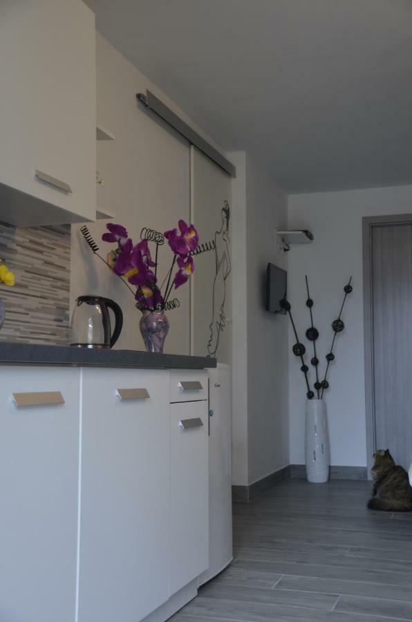 Apartments Lilly - Studio リエカ エクステリア 写真